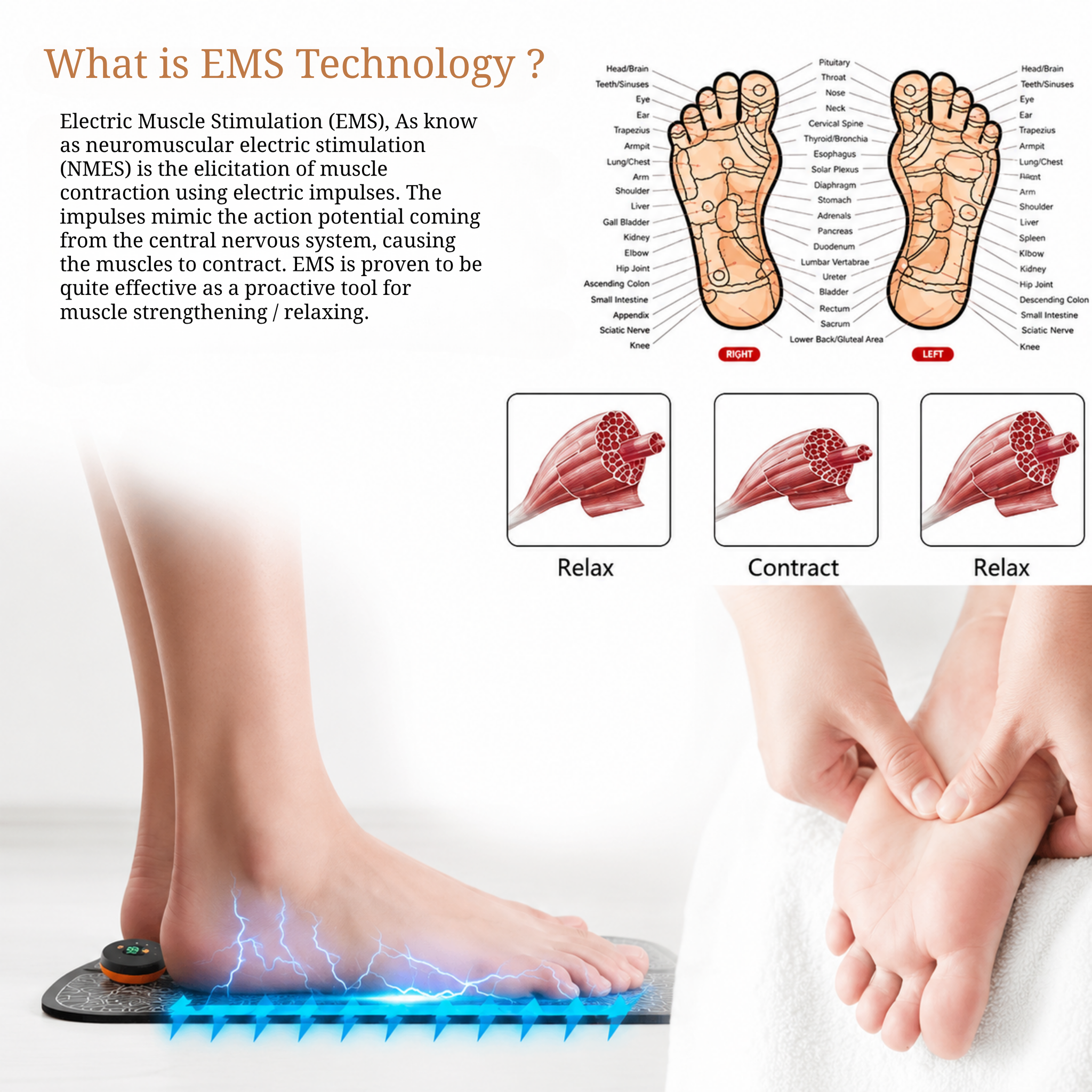 Clorans® Fix MS Foot Drop From Home