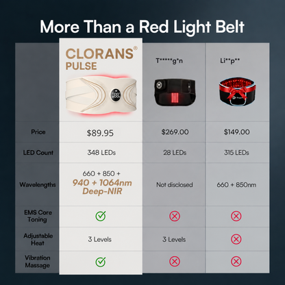 Clorans® EMS Core Belt